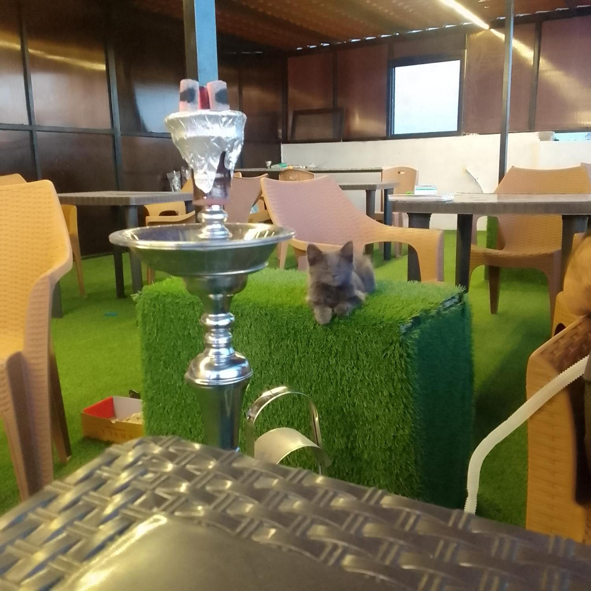 Dream House Hotel Jerash جرش المظهر الخارجي الصورة